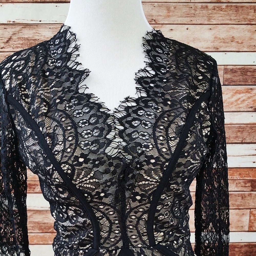 Black Long Sleeve Lace Plunge Neck Dress - Picture 3 of 3